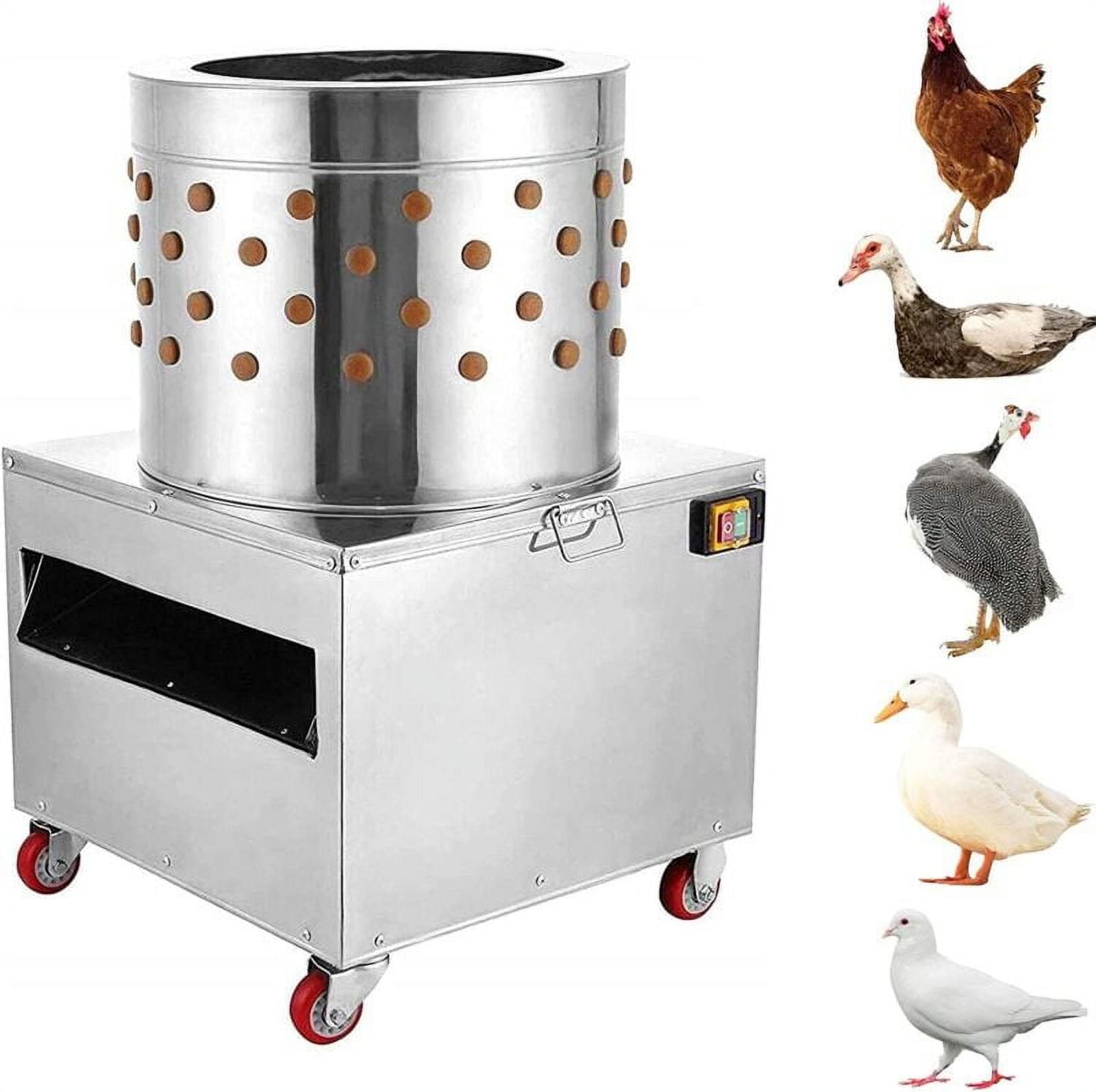tin tức bắt đá gà,Tin tức bắt đá gà: Những Điều Bạn Cần Biết tin tức bắt đá gà,Tin tức bắt đá gà: Những Điều Bạn Cần Biết