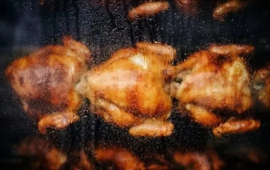 cách huấn luyện gà đá cựa cách huấn luyện gà đá cựa