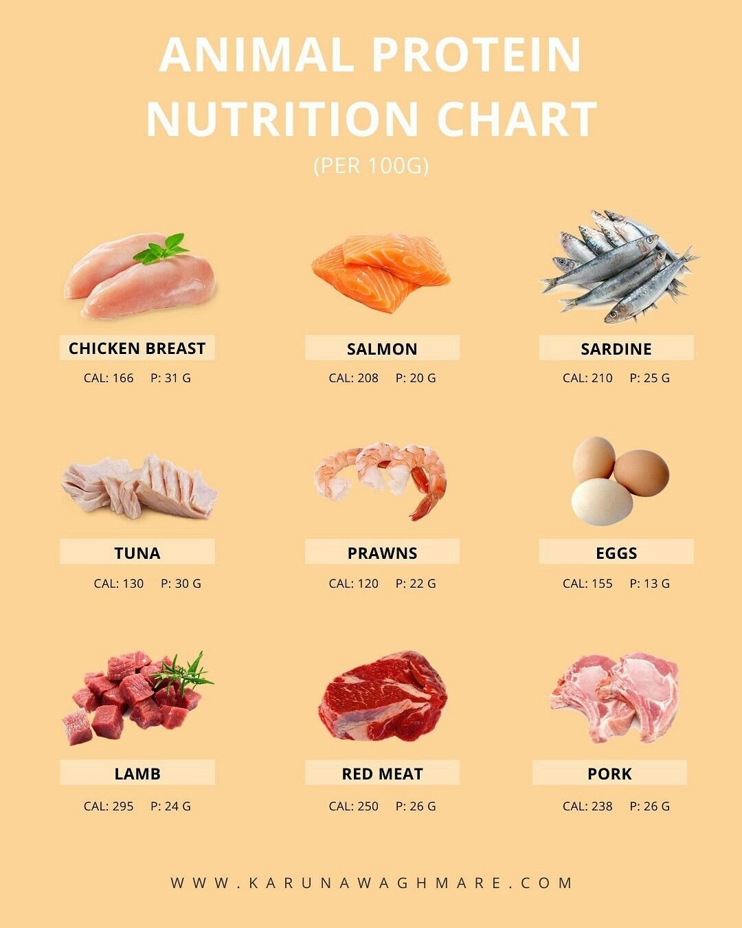 cách nuôi gà đá cựa sắt có lực cách nuôi gà đá cựa sắt có lực