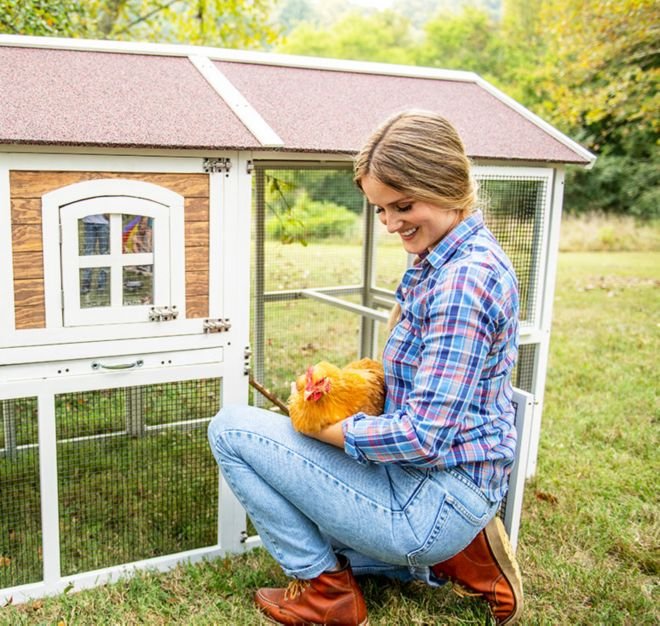 gà đá thomo trực tiếp hôm nay,Giới Thiệu Bài Viết: Gà Đá Thomo Trực Tiếp Hôm Nay