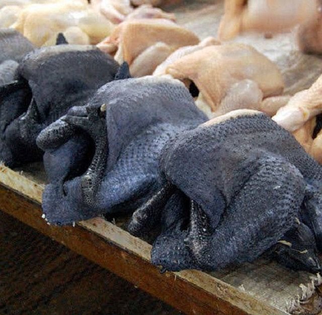 trực tiếp đá gà thomo ngày 16 tháng 11 trực tiếp đá gà thomo ngày 16 tháng 11