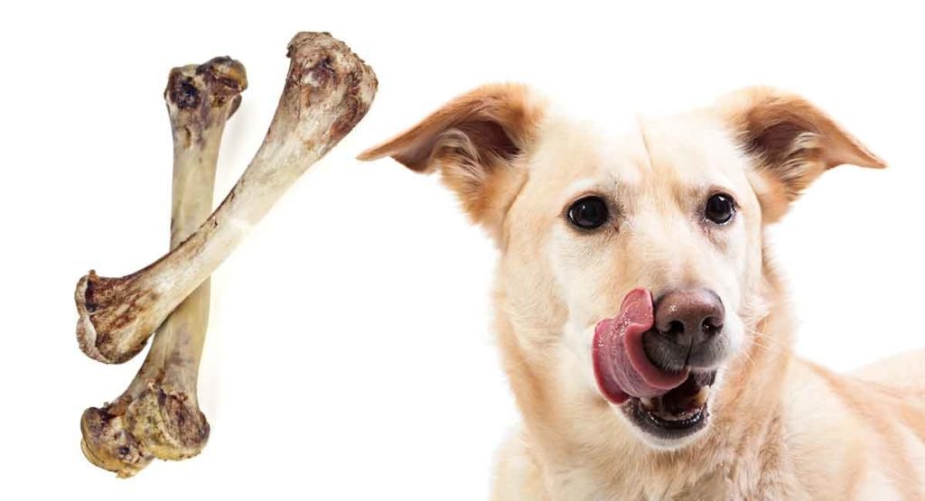 trại gà đá bà rịa vũng tàu,Trại Gà Đá Bà Rịa – Vũng Tàu: Điểm Đến Đặc Biệt Cho Du Lịch trại gà đá bà rịa vũng tàu,Trại Gà Đá Bà Rịa – Vũng Tàu: Điểm Đến Đặc Biệt Cho Du Lịch
