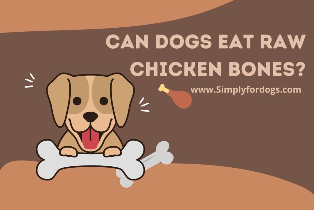 cach chế nghê cho gà đá,Cách Chế Nghệ Cho Gà Đá: Bí Quyết Thành Công Không Thể Bỏ Qua cach chế nghê cho gà đá,Cách Chế Nghệ Cho Gà Đá: Bí Quyết Thành Công Không Thể Bỏ Qua