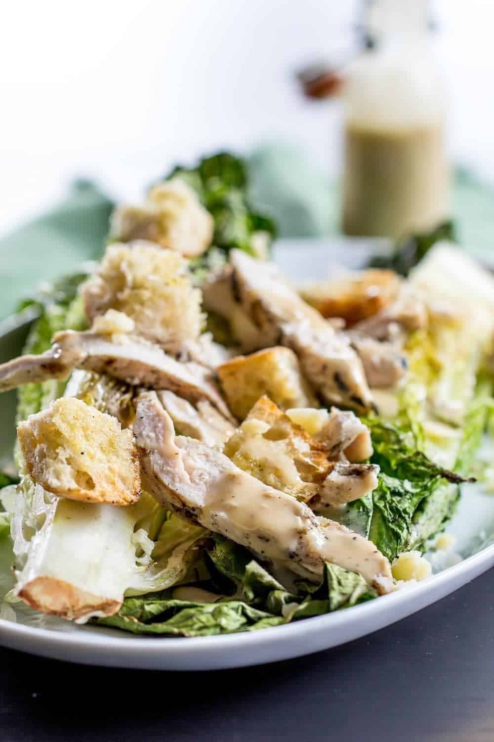 đá gà đòn mới nhất hay nhất